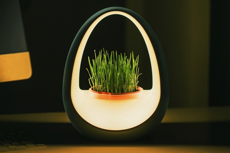 Planto LED Lamp Powers Itself with Water, No External Power Needed