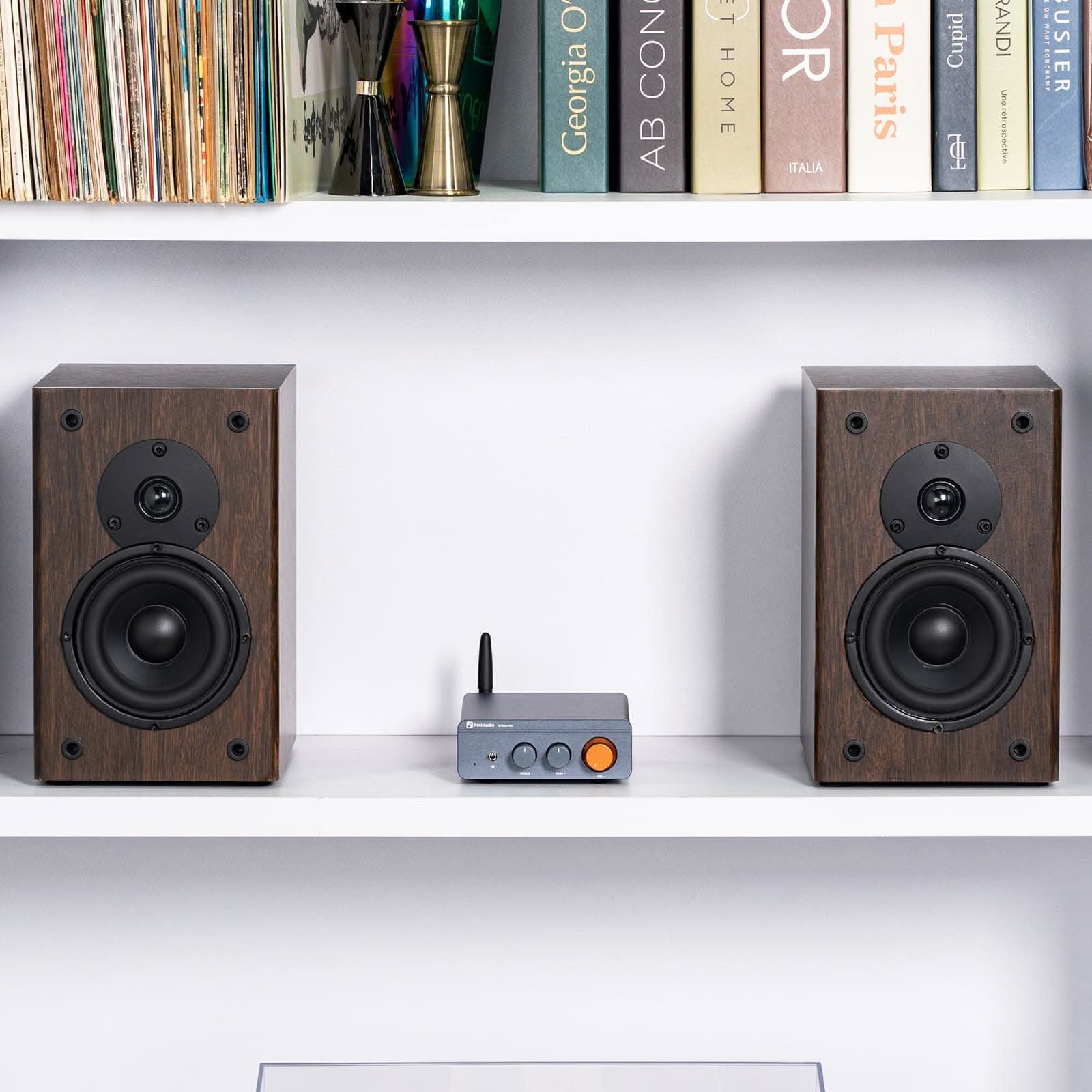 Fosi Audio BT20A Pro rear panel showing RCA input and speaker terminals