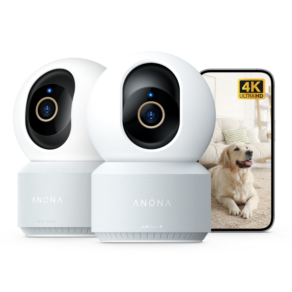 Two Anona Pano 4K indoor cameras side by side