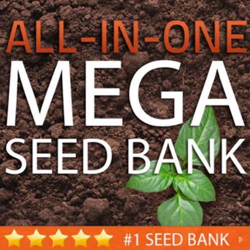 SeedsNow MEGA SEED BANK vault opened showing individual seed variety packets